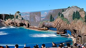 SeaWorld San Diego Facts for Kids